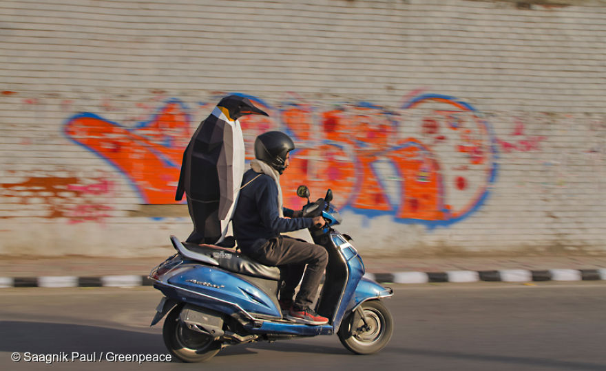 Paper Penguins Pop Up Around World To Share Urgent Message About Their Home Paper Penguins Pop Up Around World To Share Urgent Message About Their Home