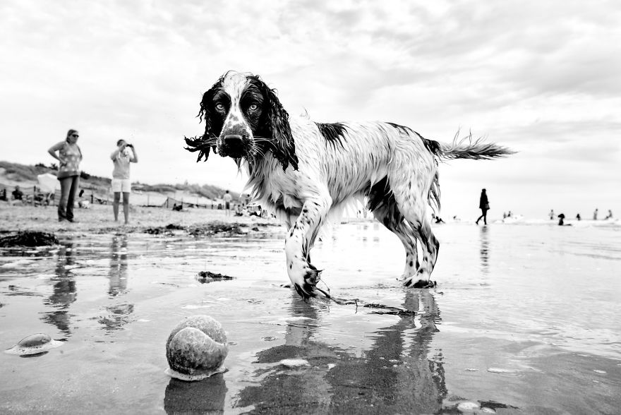 West Wittering Beach, West Sussex, UK