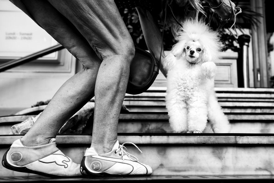 Casino Royale, Monaco