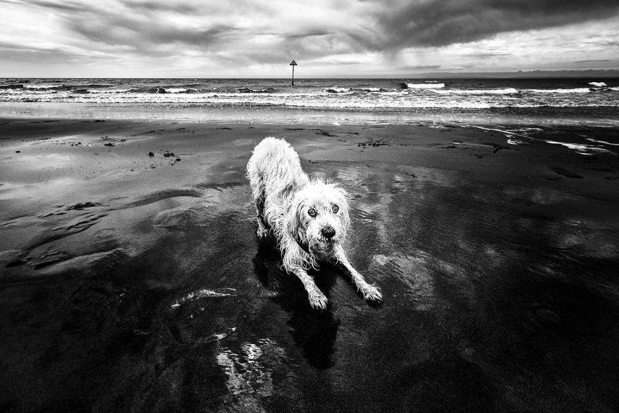 West Wittering Beach, West Sussex, UK