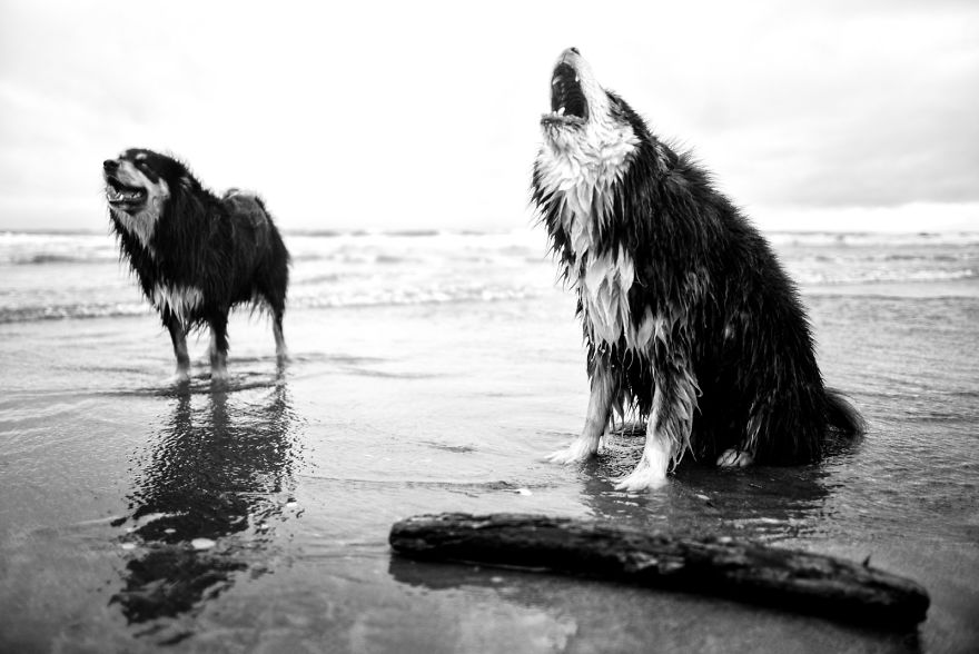 West Wittering Beach, West Sussex, UK