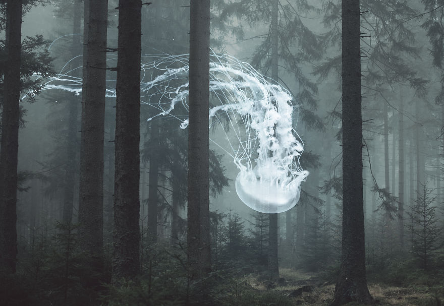 Pixels Of Bliss In Heart Of Stillness