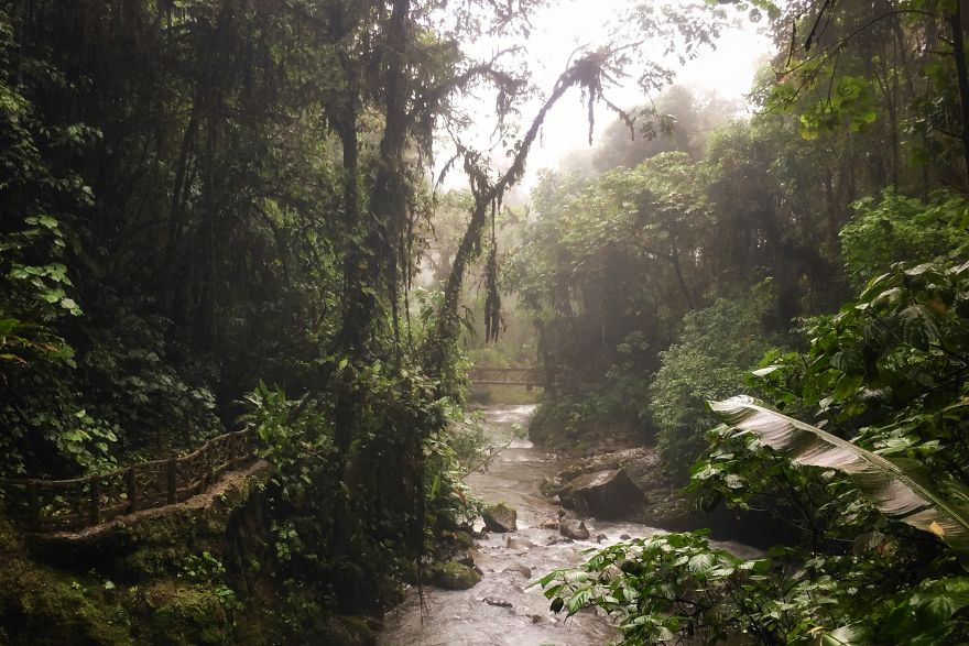 Why I'm Taking My 8 Year Old Daughter With Autism To The Forests Of The World