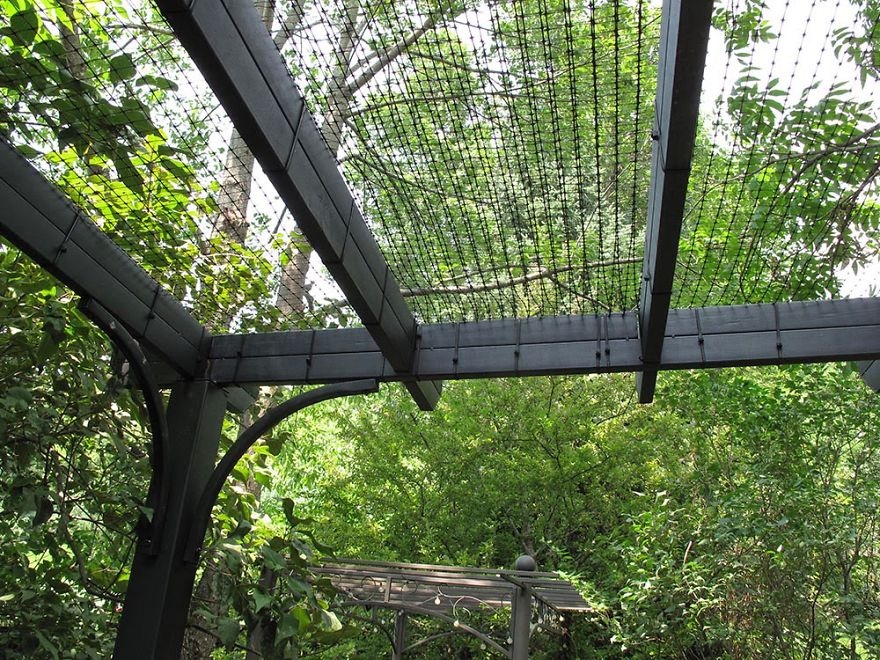 We Built A Beautiful Garden Catio For Our Formerly-Blind Bengal