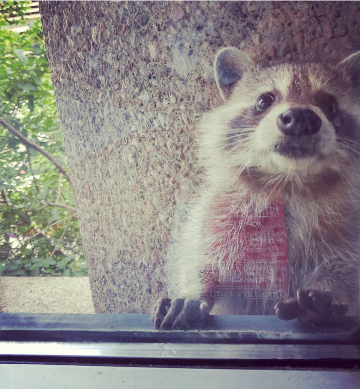 I Have Some Changes For Slide 7...