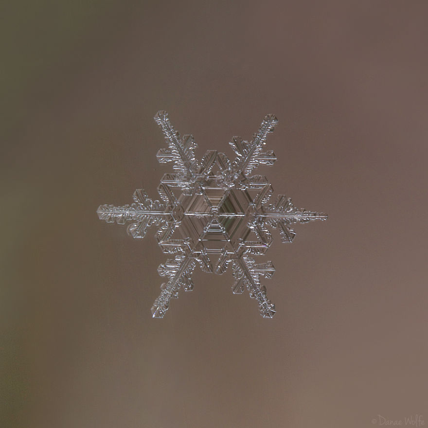 How To Photograph Macro Snowflakes At Home