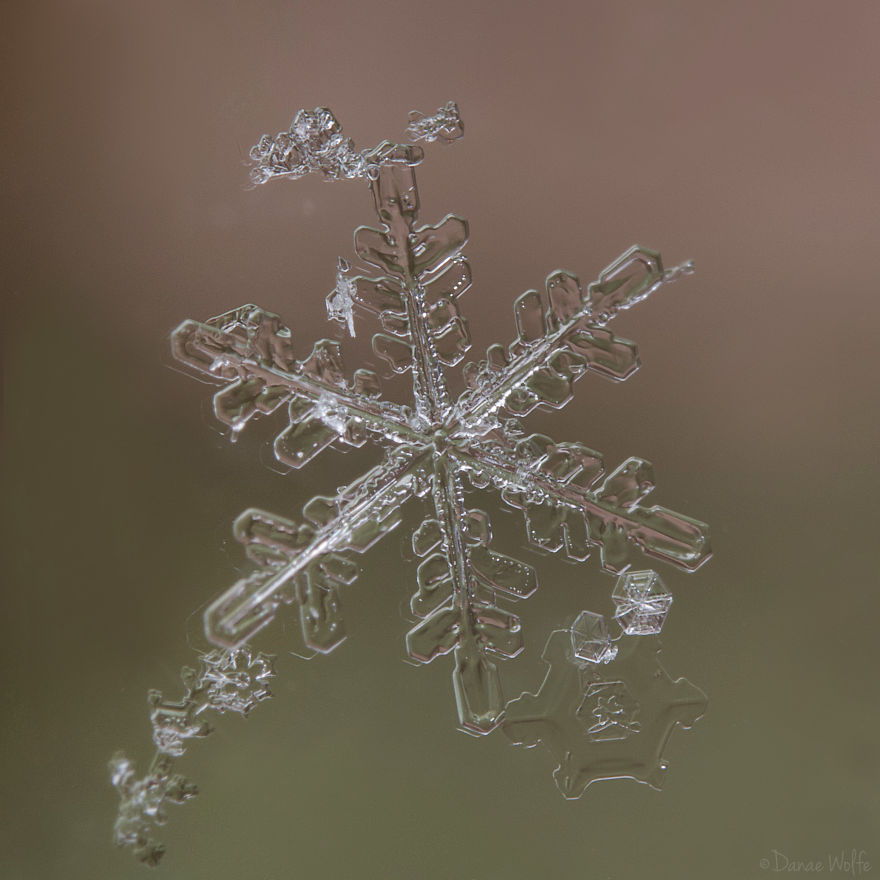 How To Photograph Macro Snowflakes At Home