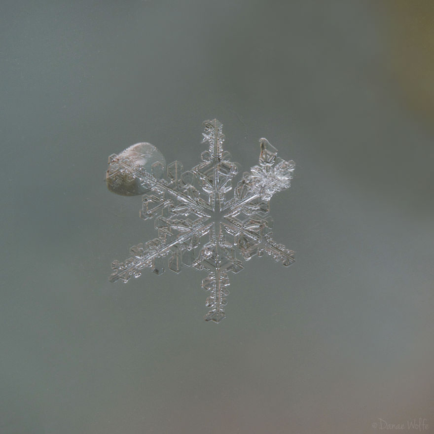How To Photograph Macro Snowflakes At Home