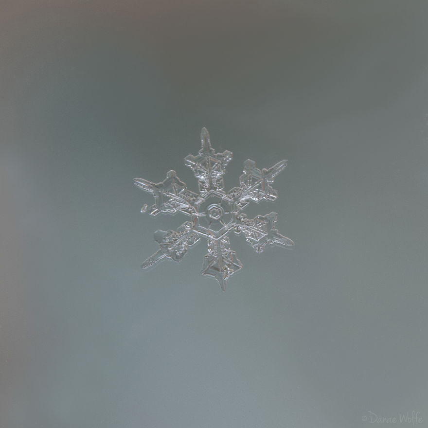 How To Photograph Macro Snowflakes At Home How To Photograph Macro Snowflakes At Home