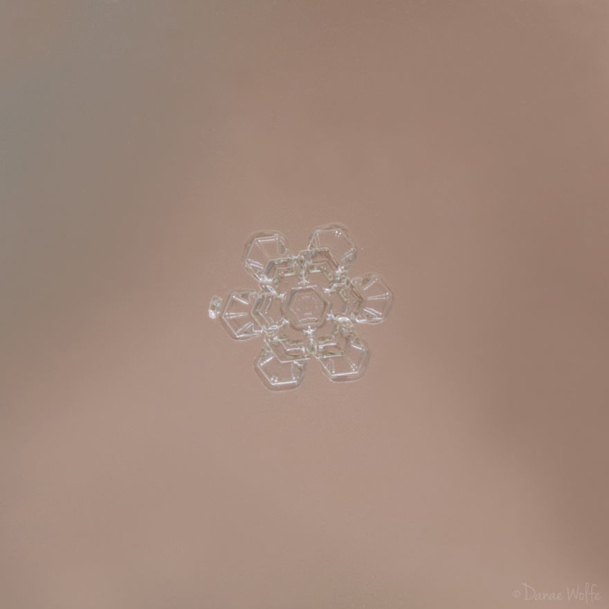 How To Photograph Macro Snowflakes At Home How To Photograph Macro Snowflakes At Home