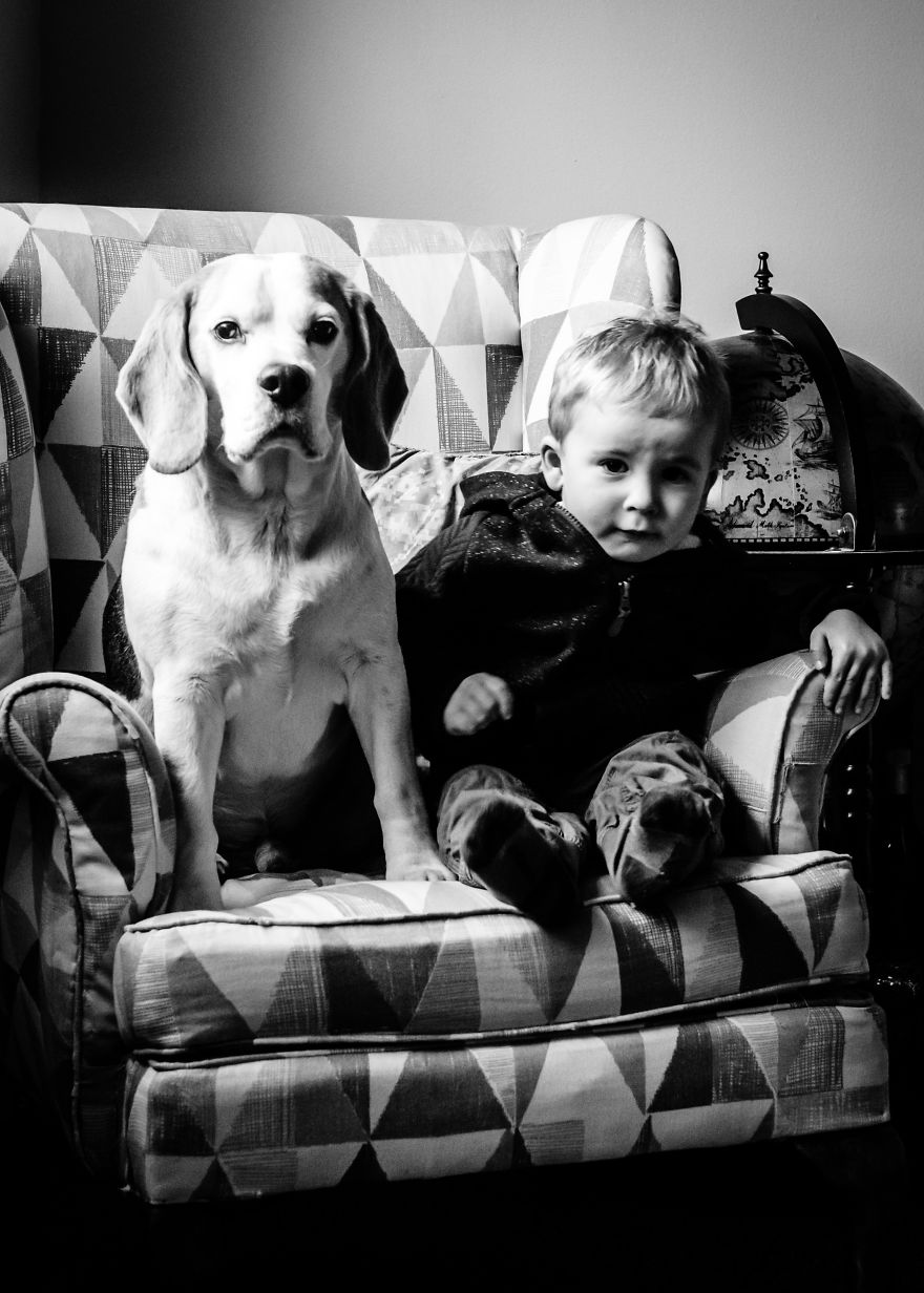 I’ve Taken A Picture Of My Son And Beagle Every Month For The Last Three Years In The Same Chair I’ve Taken A Picture Of My Son And Beagle Every Month For The Last Three Years In The Same Chair