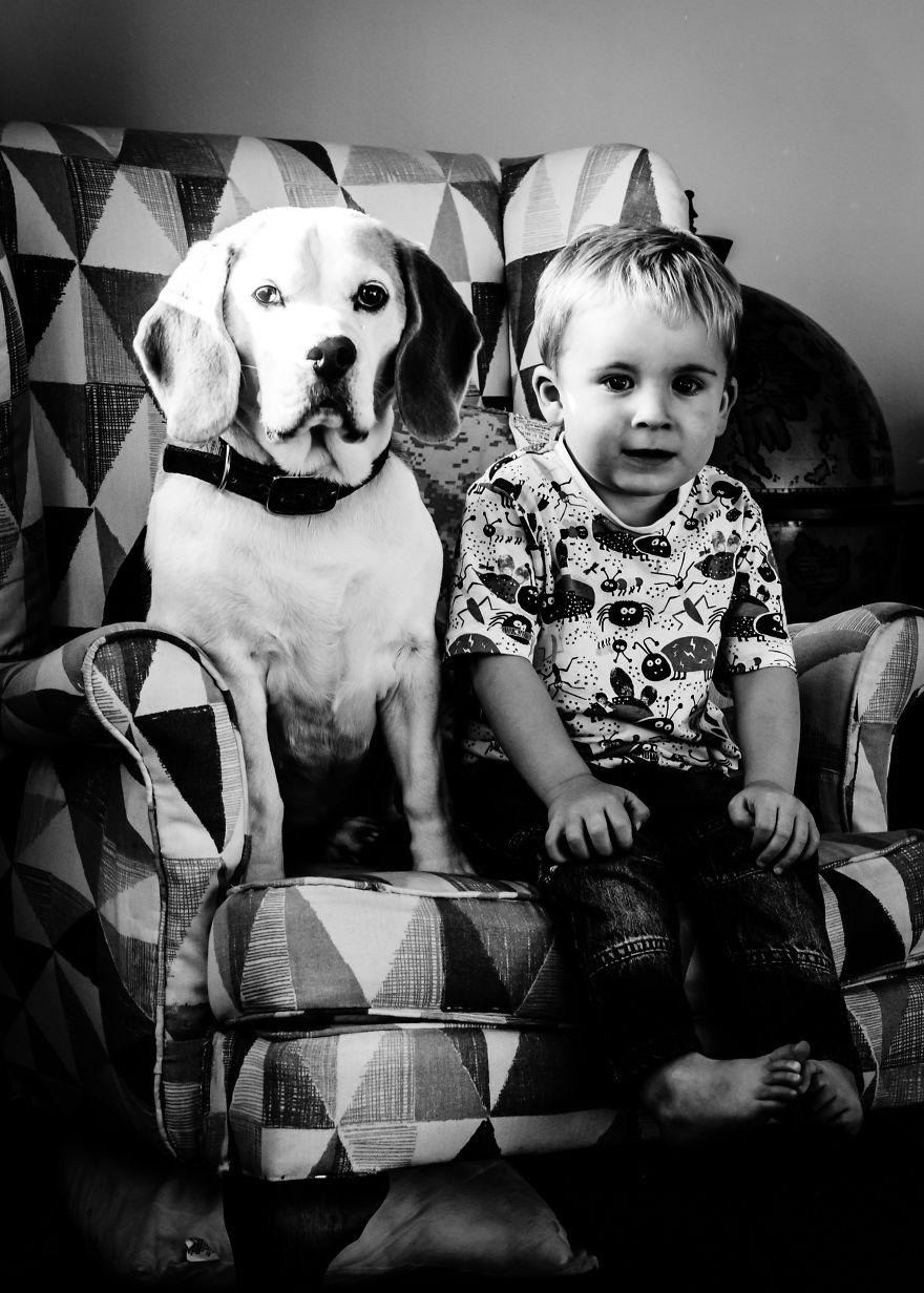I’ve Taken A Picture Of My Son And Beagle Every Month For The Last Three Years In The Same Chair I’ve Taken A Picture Of My Son And Beagle Every Month For The Last Three Years In The Same Chair
