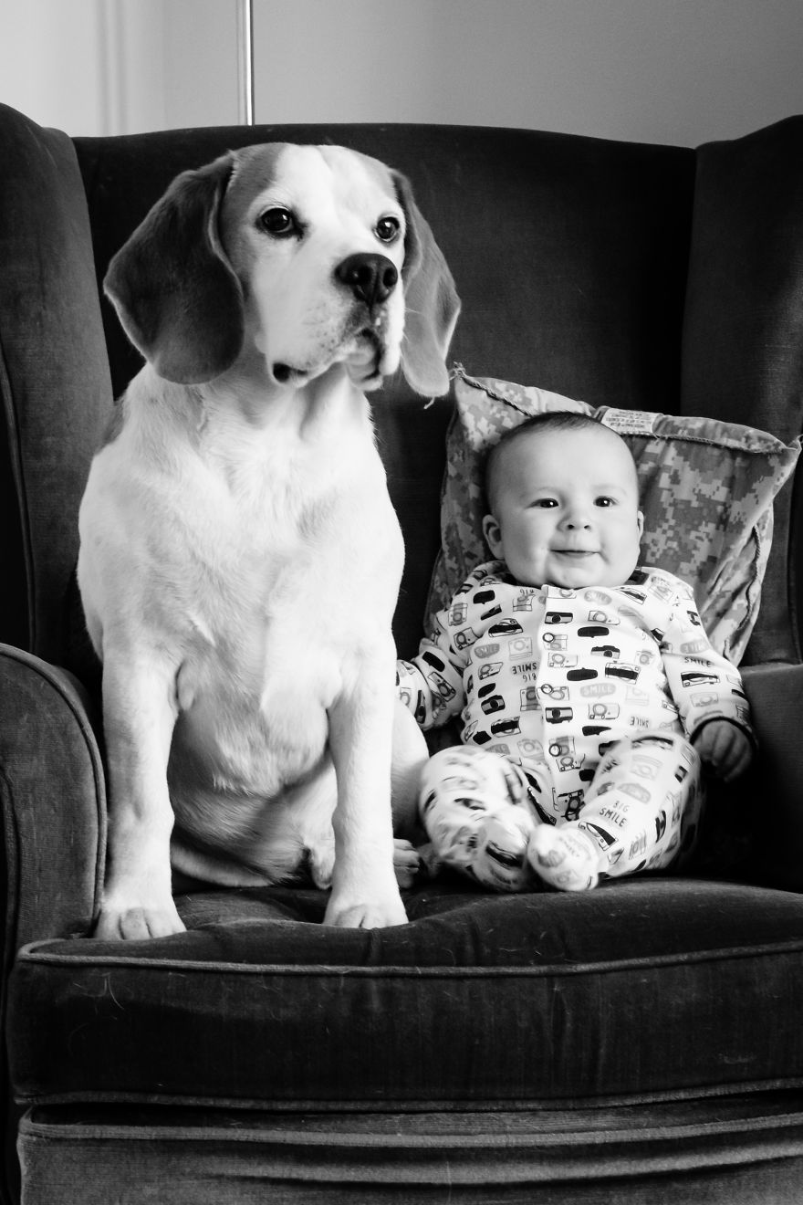 I’ve Taken A Picture Of My Son And Beagle Every Month For The Last Three Years In The Same Chair I’ve Taken A Picture Of My Son And Beagle Every Month For The Last Three Years In The Same Chair