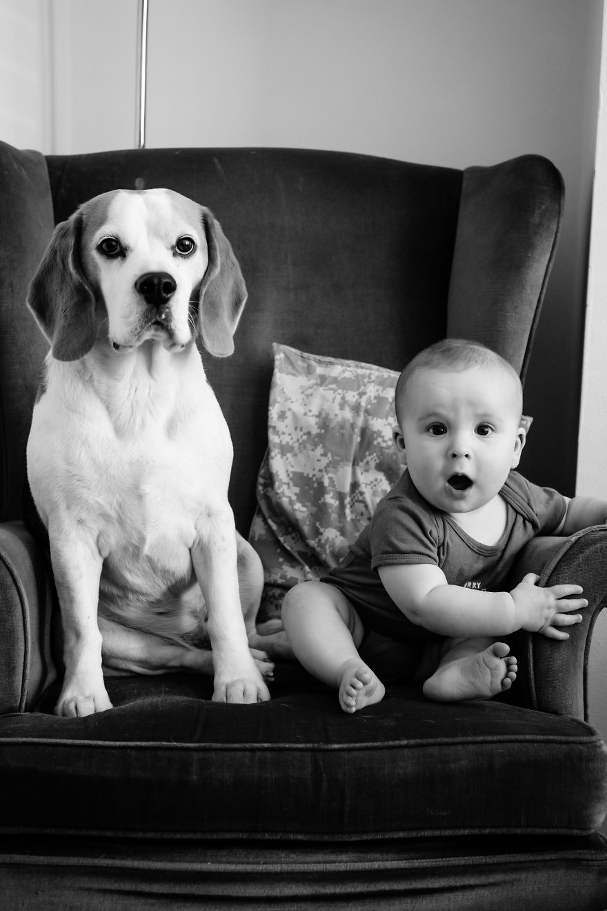 I’ve Taken A Picture Of My Son And Beagle Every Month For The Last Three Years In The Same Chair I’ve Taken A Picture Of My Son And Beagle Every Month For The Last Three Years In The Same Chair