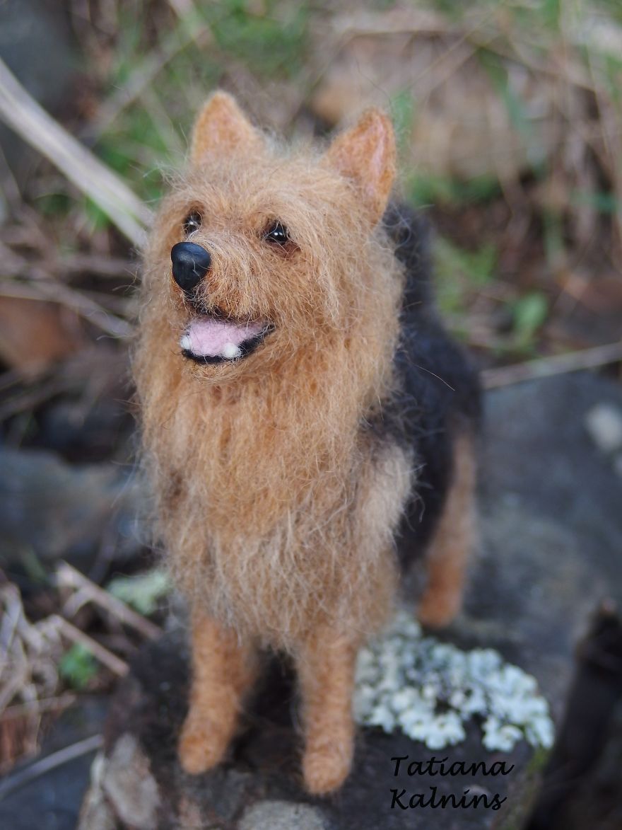 These Felted Animal Photos Will Make You Look Twice! These Felted Animal Photos Will Make You Look Twice!