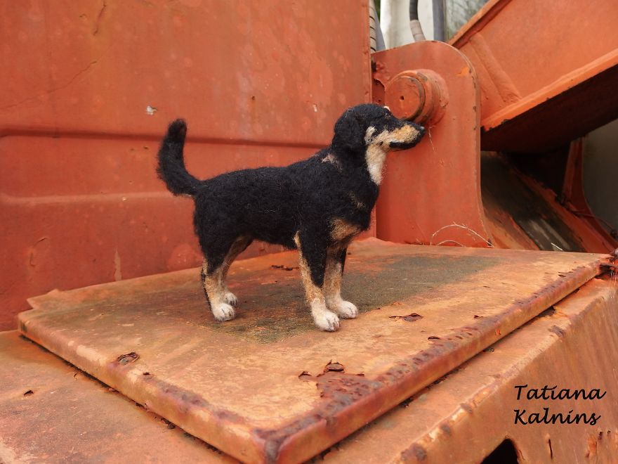 These Felted Animal Photos Will Make You Look Twice! These Felted Animal Photos Will Make You Look Twice!