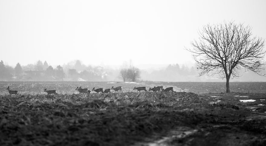 This Is The Reason Why I Love Romania