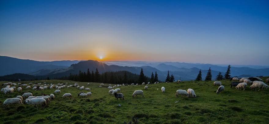 This Is The Reason Why I Love Romania