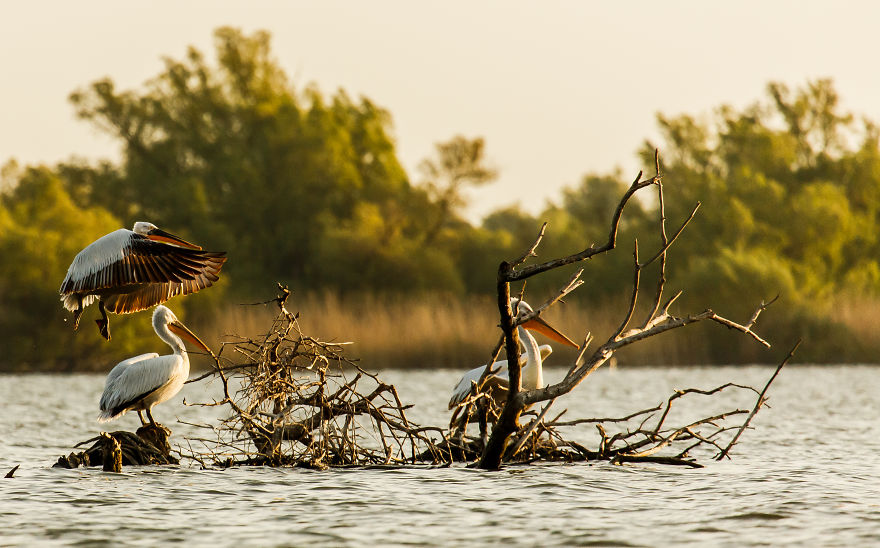 This Is The Reason Why I Love Romania