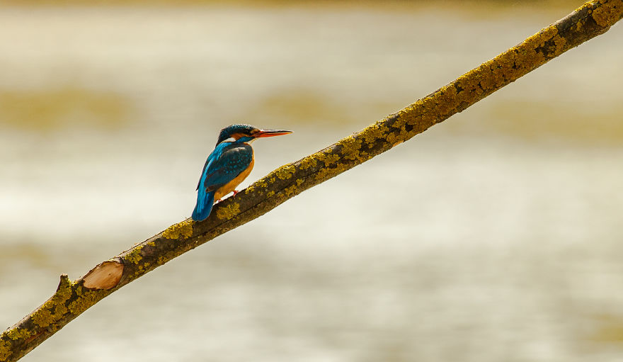 This Is The Reason Why I Love Romania