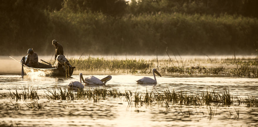 This Is The Reason Why I Love Romania