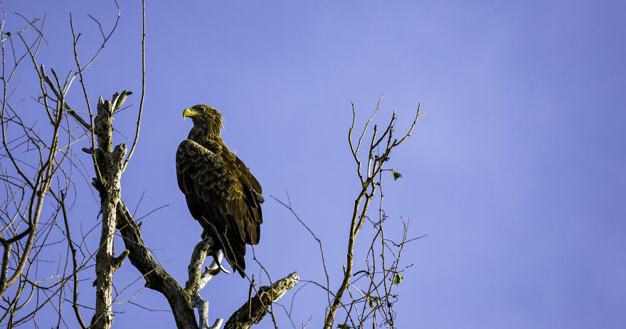 This Is The Reason Why I Love Romania