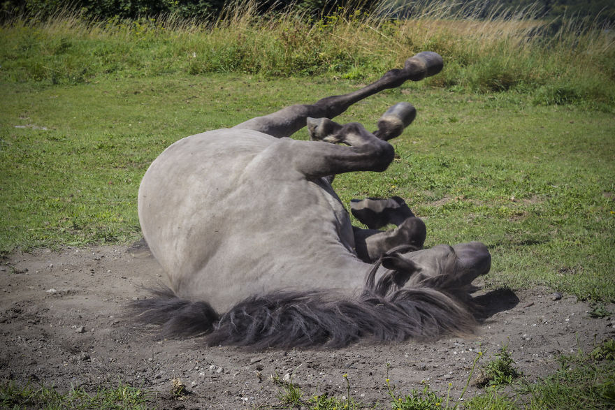 We Moved To Live In The Worst Place In England, And Here's What It's Like