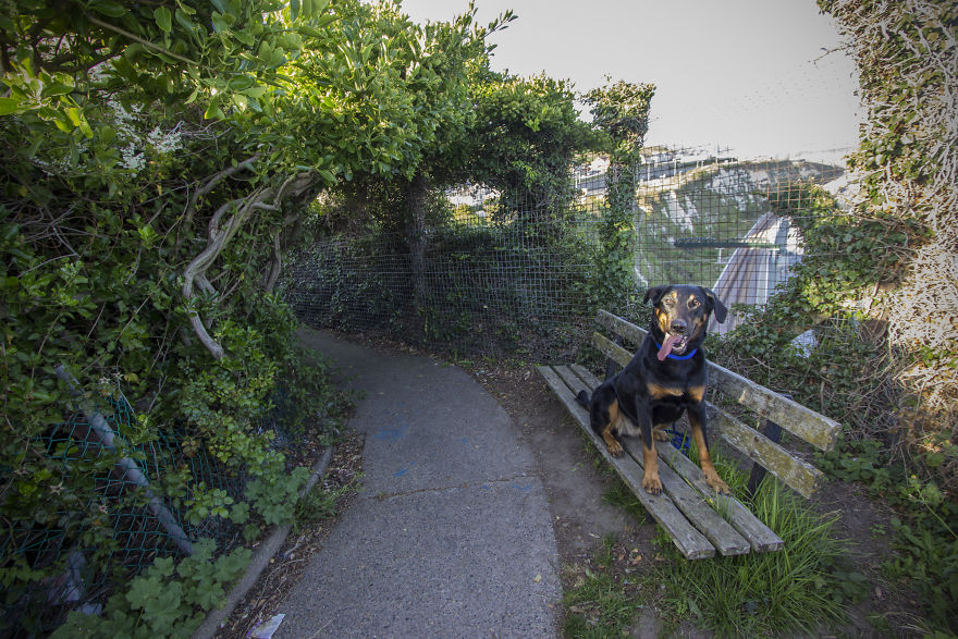 We Moved To Live In The Worst Place In England, And Here's What It's Like