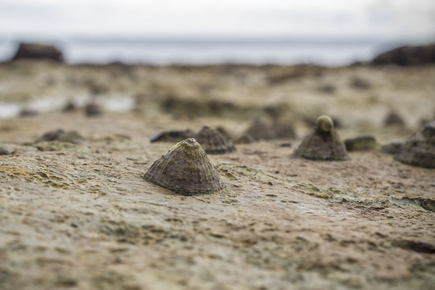 We Moved To Live In The Worst Place In England, And Here's What It's Like