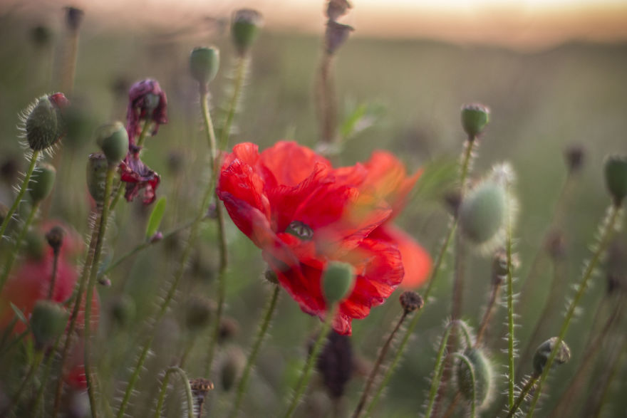 We Moved To Live In The Worst Place In England, And Here's What It's Like