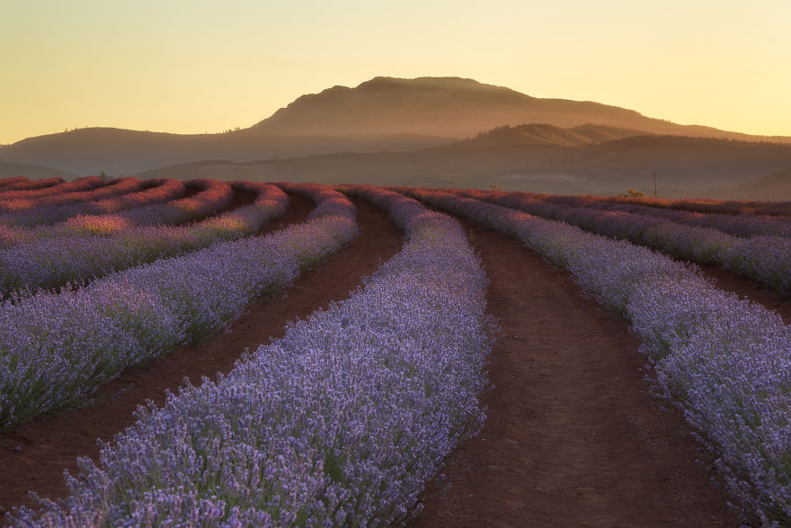 But We Didn’t Win The Lottery To Be Able To Afford This Lifestyle. It Took Years Of Hard Work