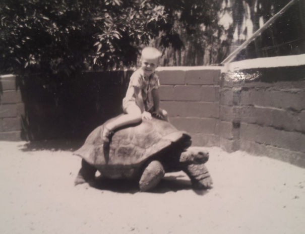Tortoise Ride, Florida 1966. Hoping That This Is Illegal Now But It Was A Thrill For A Six Year Old!