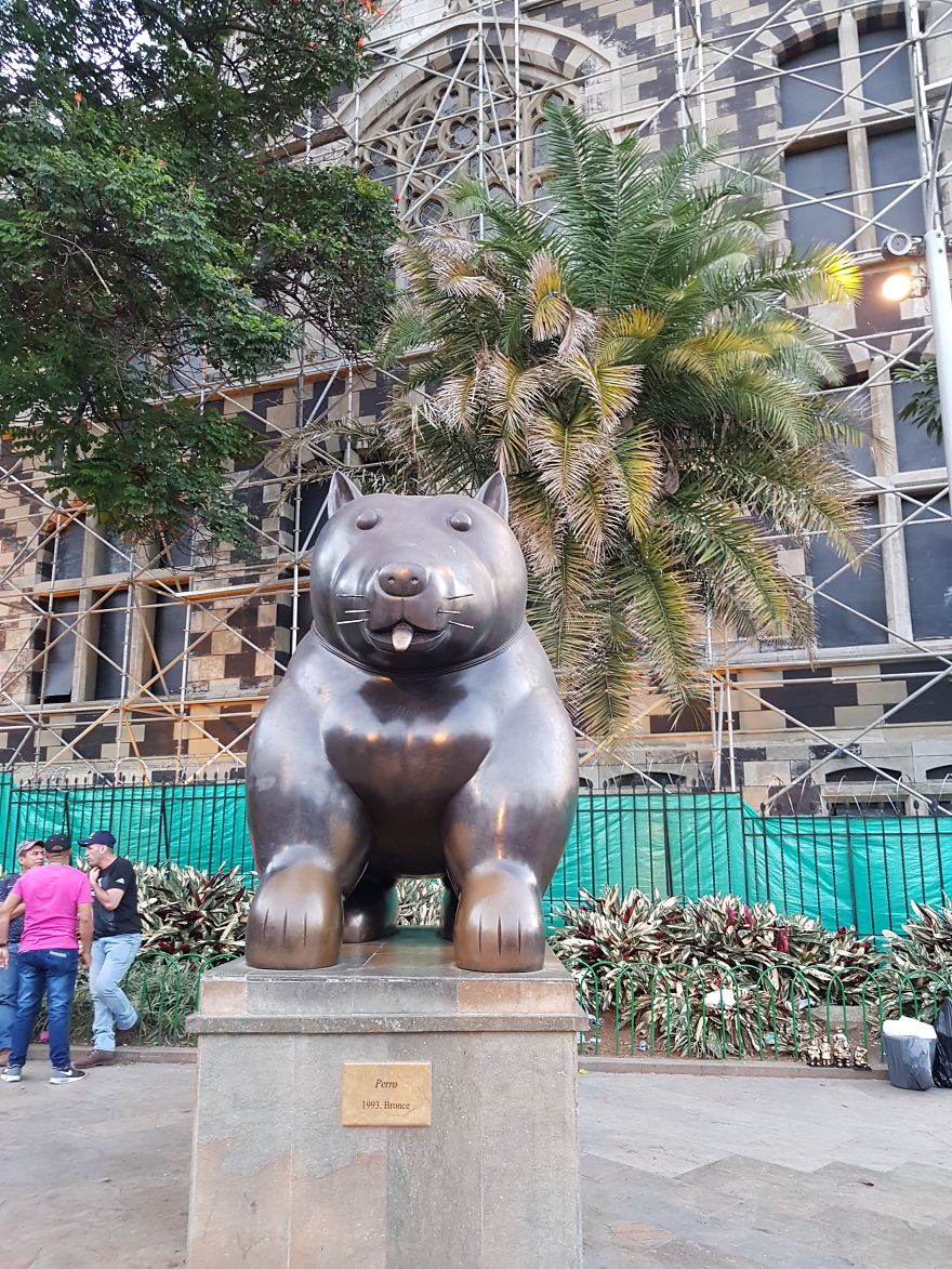 Truth Behind The Deceptive Colors Of Colombia Truth Behind The Deceptive Colors Of Colombia