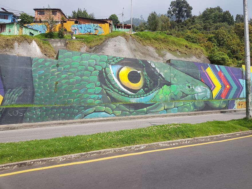 Truth Behind The Deceptive Colors Of Colombia Truth Behind The Deceptive Colors Of Colombia