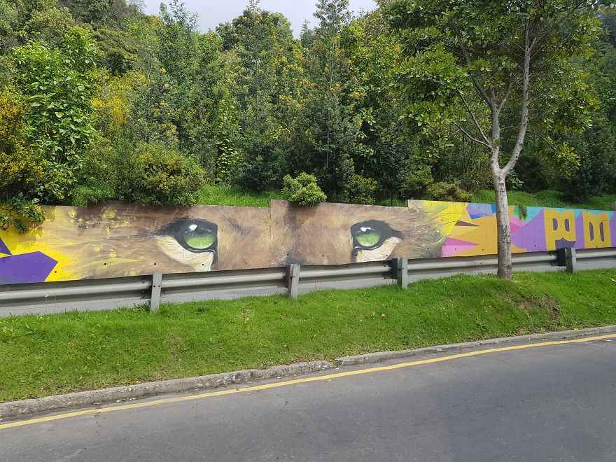 Truth Behind The Deceptive Colors Of Colombia Truth Behind The Deceptive Colors Of Colombia