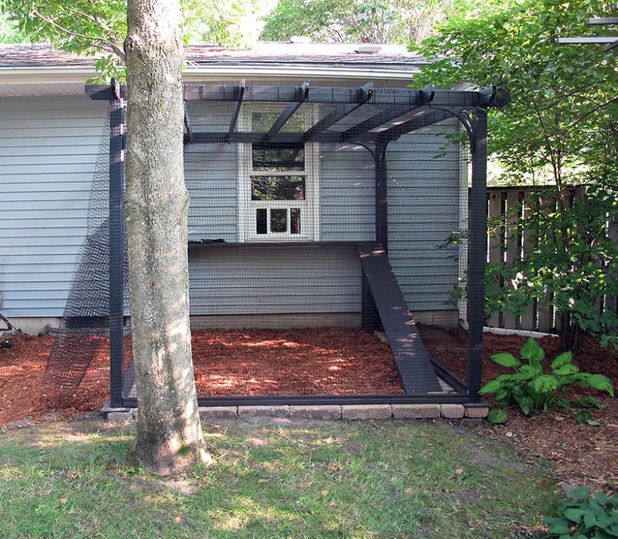 We Built A Beautiful Garden Catio For Our Formerly-Blind Bengal