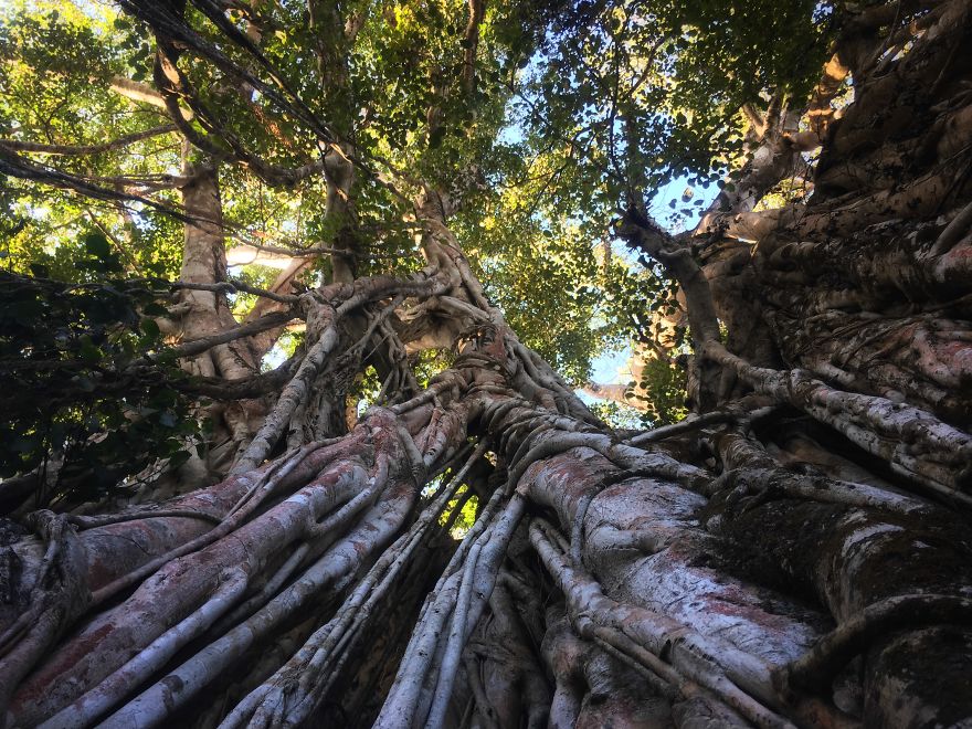 Why I'm Taking My 8 Year Old Daughter With Autism To The Forests Of The World