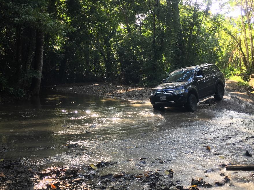 Why I'm Taking My 8 Year Old Daughter With Autism To The Forests Of The World