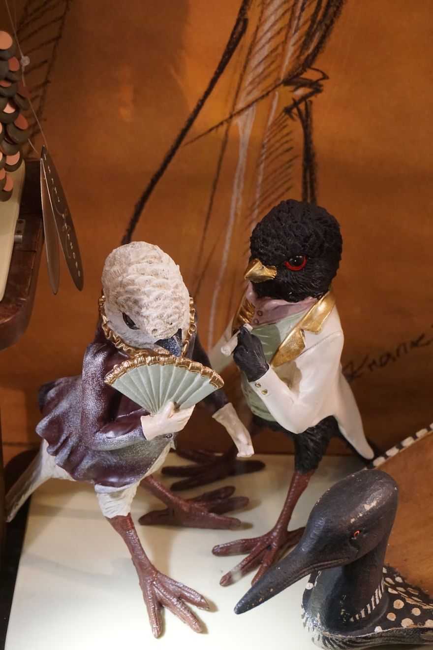 Birds With Arms-The Internet Puts Arms In Birds And The Result Is Impossible Not To Laugh Birds With Arms-The Internet Puts Arms In Birds And The Result Is Impossible Not To Laugh