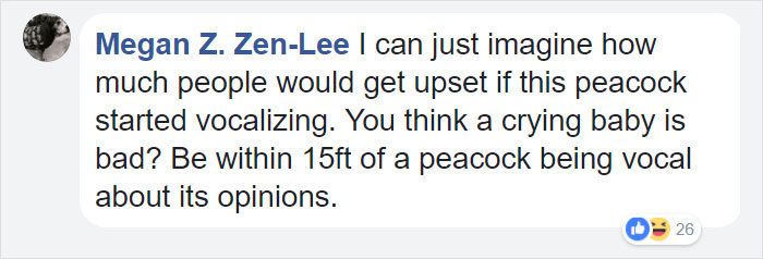 airport-denied-flight-emotional-support-peacock-dexter-10 airport-denied-flight-emotional-support-peacock-dexter-10
