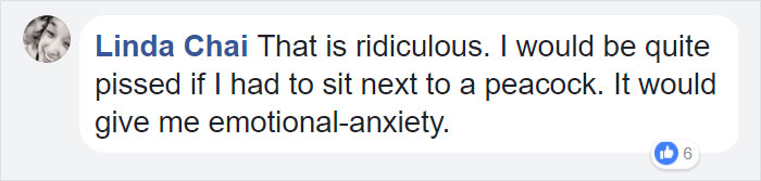 airport-denied-flight-emotional-support-peacock-dexter-4 airport-denied-flight-emotional-support-peacock-dexter-4