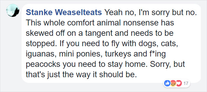 airport-denied-flight-emotional-support-peacock-dexter-5 airport-denied-flight-emotional-support-peacock-dexter-5
