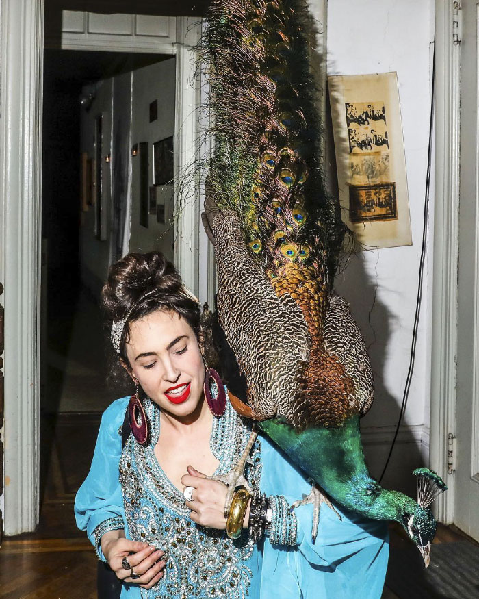 Giant Emotional Support Peacock Denied Seat On Flight, And Here’s How Internet Reacts Giant Emotional Support Peacock Denied Seat On Flight, And Here’s How Internet Reacts