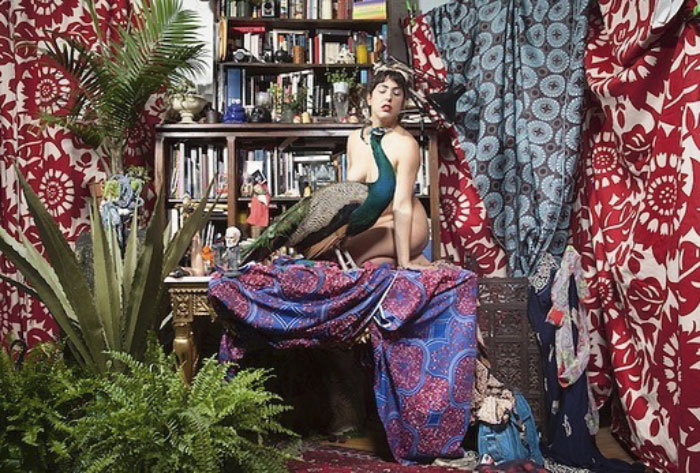 Giant Emotional Support Peacock Denied Seat On Flight, And Here’s How Internet Reacts Giant Emotional Support Peacock Denied Seat On Flight, And Here’s How Internet Reacts