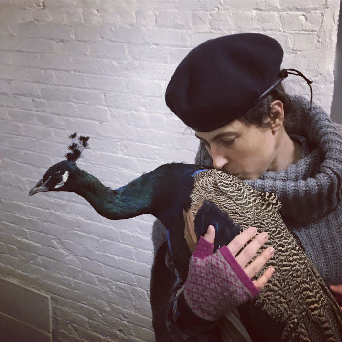 Giant Emotional Support Peacock Denied Seat On Flight, And Here’s How Internet Reacts Giant Emotional Support Peacock Denied Seat On Flight, And Here’s How Internet Reacts