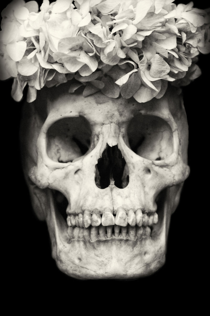 Human Skulls Portrayed In The General Cemetery Of The City Of La Paz, Bolivia