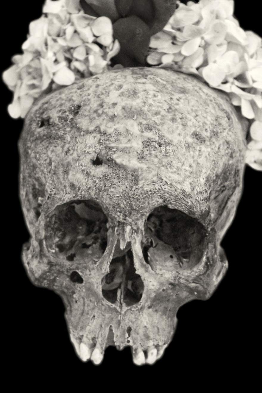 Human Skulls Portrayed In The General Cemetery Of The City Of La Paz, Bolivia Human Skulls Portrayed In The General Cemetery Of The City Of La Paz, Bolivia