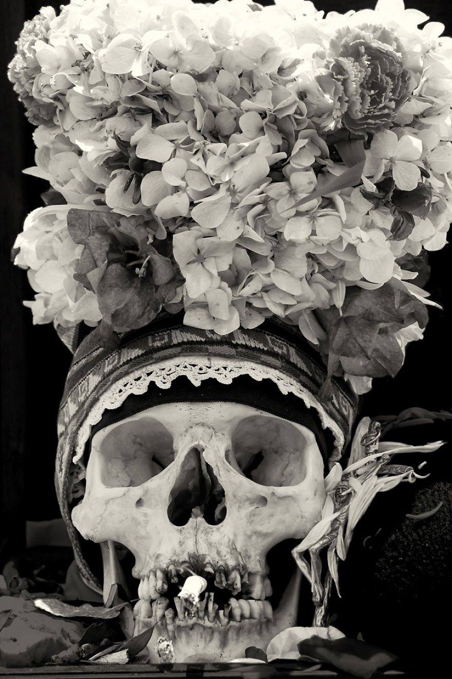 Human Skulls Portrayed In The General Cemetery Of The City Of La Paz, Bolivia Human Skulls Portrayed In The General Cemetery Of The City Of La Paz, Bolivia