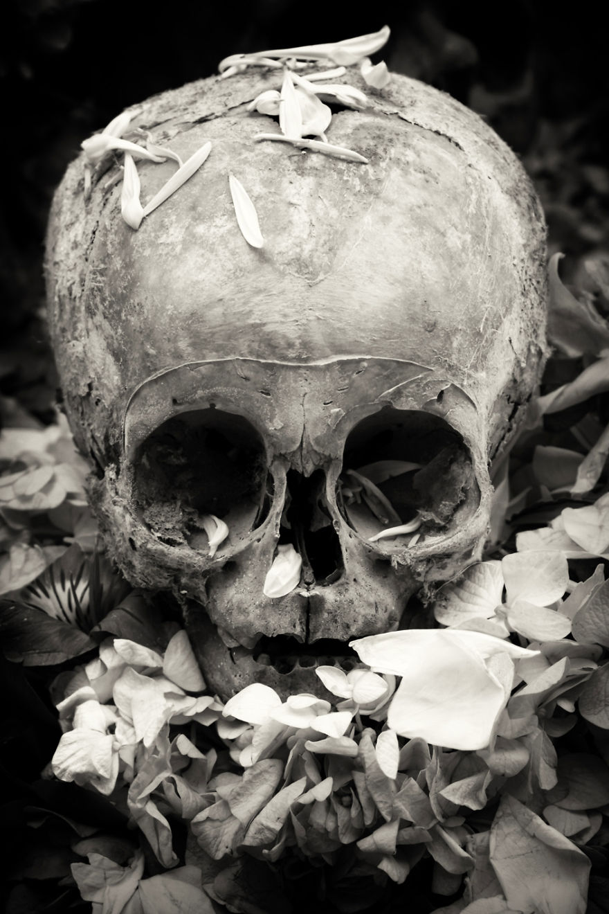 Human Skulls Portrayed In The General Cemetery Of The City Of La Paz, Bolivia Human Skulls Portrayed In The General Cemetery Of The City Of La Paz, Bolivia