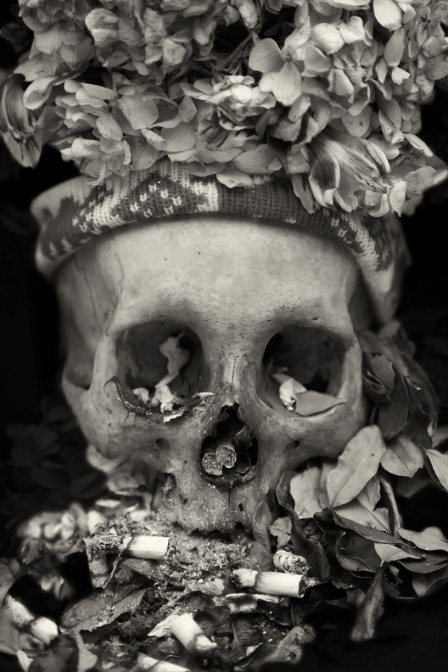 Human Skulls Portrayed In The General Cemetery Of The City Of La Paz, Bolivia Human Skulls Portrayed In The General Cemetery Of The City Of La Paz, Bolivia